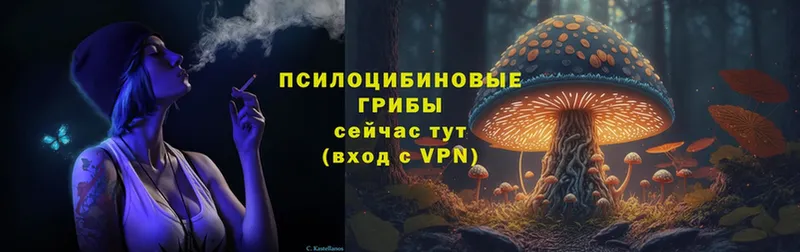 Псилоцибиновые грибы MAGIC MUSHROOMS  Черногорск 